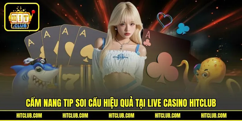 Cẩm nang trải nghiệm và tip soi cầu hiệu quả tại LIVE Casino HITCLUB