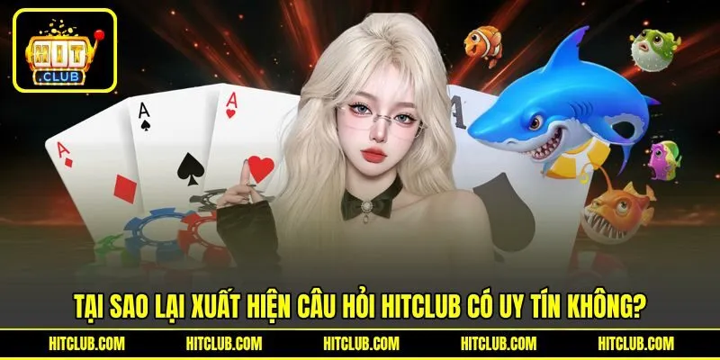 Tại sao lại xuất hiện câu hỏi HITCLUB có uy tín không?
